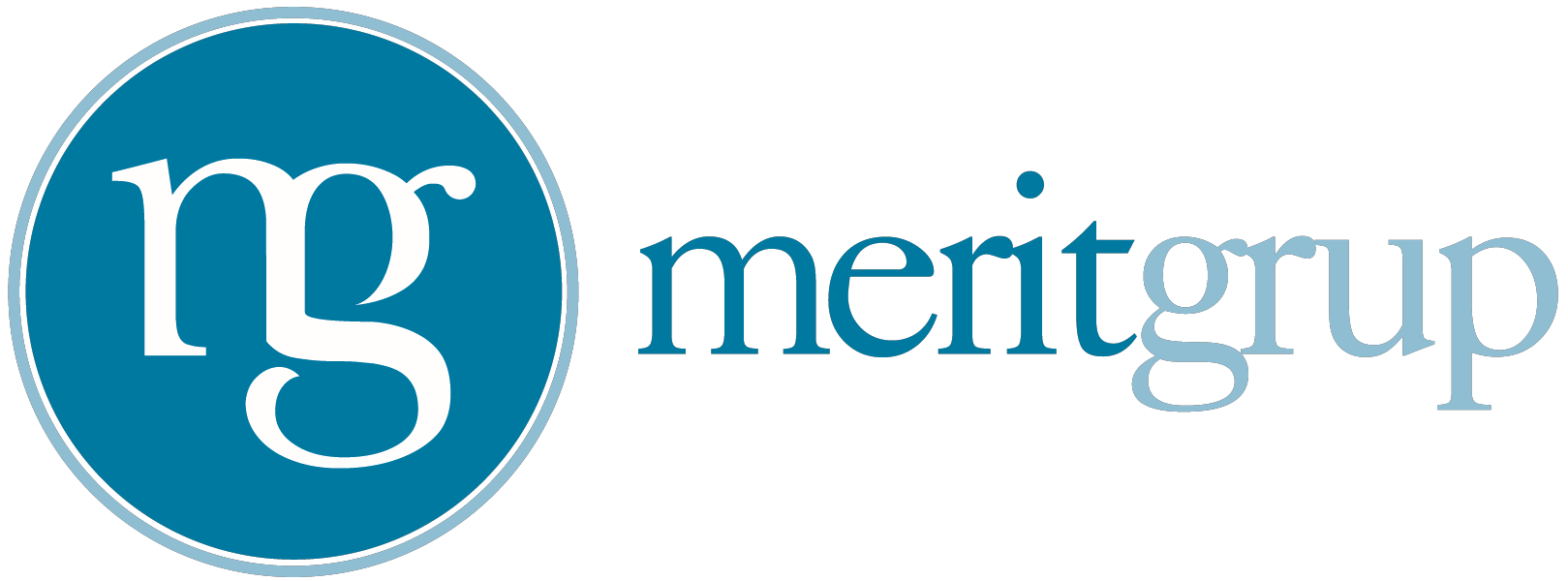 Merit Grup